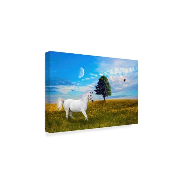 Ata Alishahi 'Wild White Horse' Canvas Art,22x32